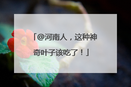 @河南人，这种神奇叶子该吃了！