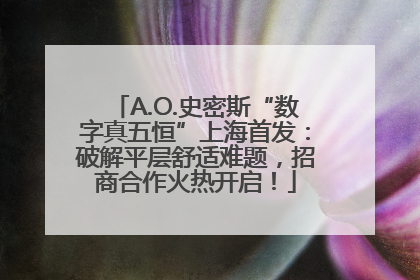 A.O.史密斯“数字真五恒”上海首发：破解平层舒适难题，招商合作火热开启！
