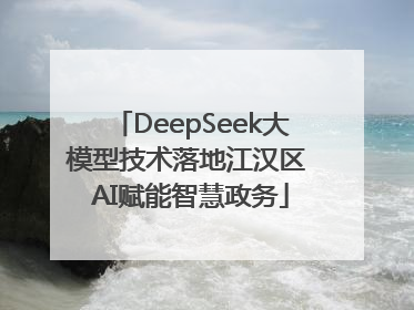 DeepSeek大模型技术落地江汉区 AI赋能智慧政务